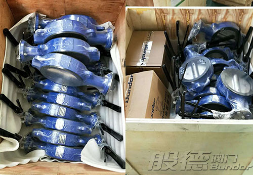 浙江某公司采購(gòu)般德蝶閥、閘閥等多款產(chǎn)品