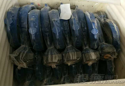 般德渦輪蝶閥、止回閥、過濾器等出口以色列