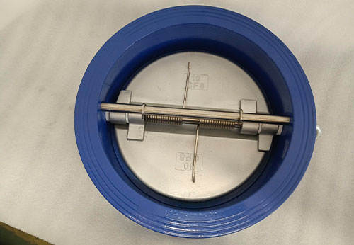 江蘇某公司國外項目采購般德蝶式止回閥