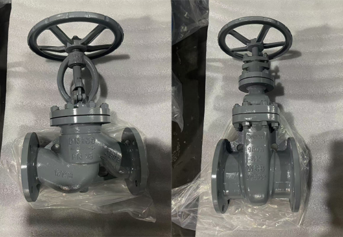 阿聯酋船廠：非標定制與極速交付的完美攻堅